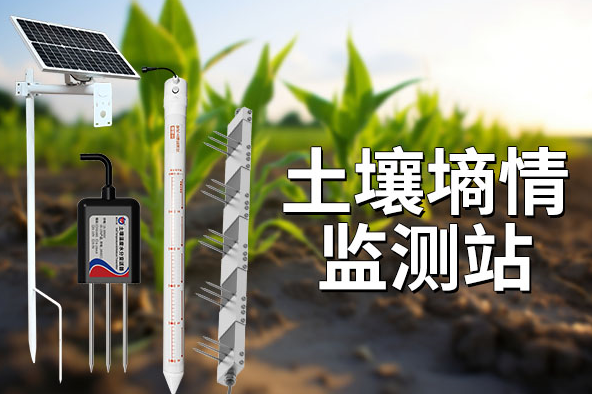 50f03d5e25ed19b1f8dad520ea1c4ec6.png image.png